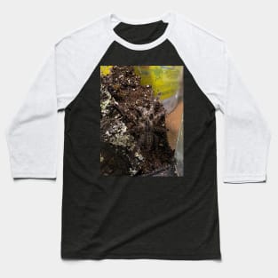 P vittata Baseball T-Shirt